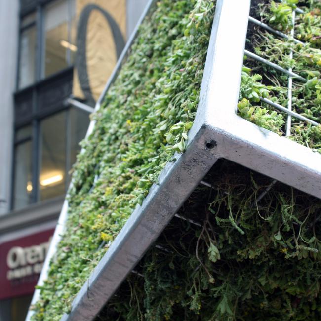 Close-up view from underneath a corner of a moss-covered cube sculpture